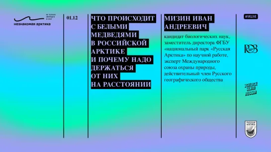 Что происходит с белыми медведями в российской Арктике // Иван Мизин // Незнакомая Арктика